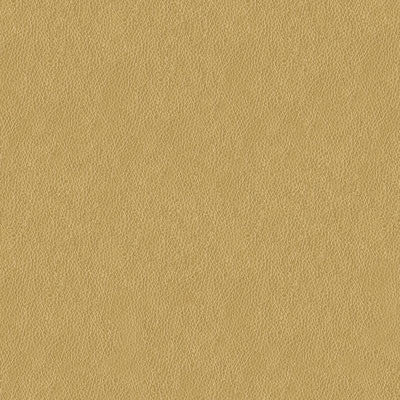 Balara-4 by Kravet Contract Fabric