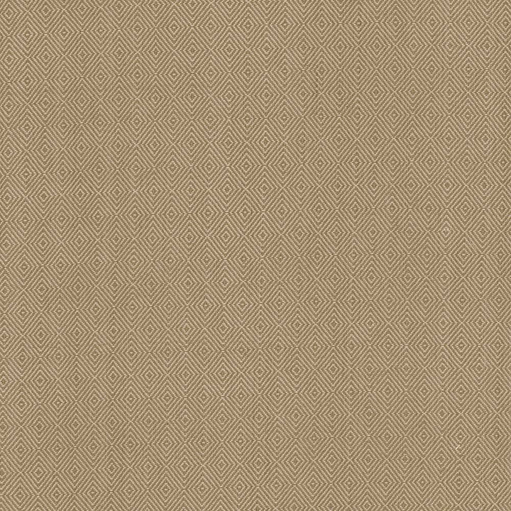 Balducci Coffee by Kasmir Fabric 5093 100% Cotton INDIA 12,000 Wyzenbeek Double Rubs H: 1 2/8 inches, V:1 4/8 inches 54 - 55 - Fabric Carolina - Kasmir