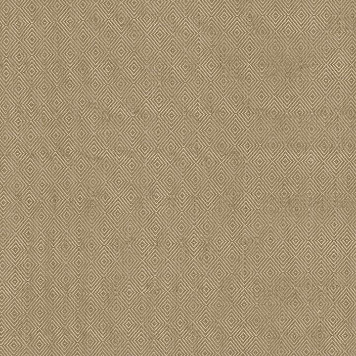 Balducci Coffee by Kasmir Fabric 5093 100% Cotton
 INDIA </p><p>Repeat: Horizontal: 1 2/8 inches and Vertical: 1 4/8 inches 54 - 55 - Fabric Carolina -