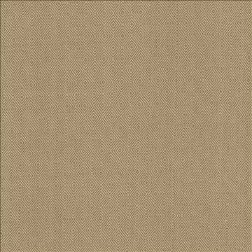 Balducci Coffee by Kasmir Fabric 5093 100% Cotton INDIA 12,000 Wyzenbeek Double Rubs H: 1 2/8 inches, V: 1 4/8 inches 54 - 55 - Fabric Carolina - Kasmir