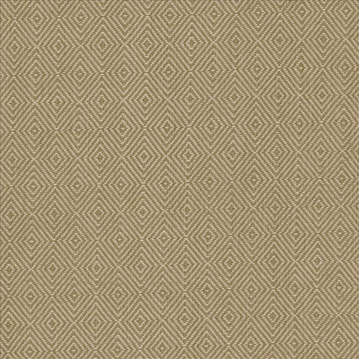 Balducci Coffee by Kasmir Fabric 5093 100% Cotton
 INDIA </p><p>Repeat: Horizontal: 1 2/8 inches and Vertical: 1 4/8 inches 54 - 55 - Fabric Carolina -