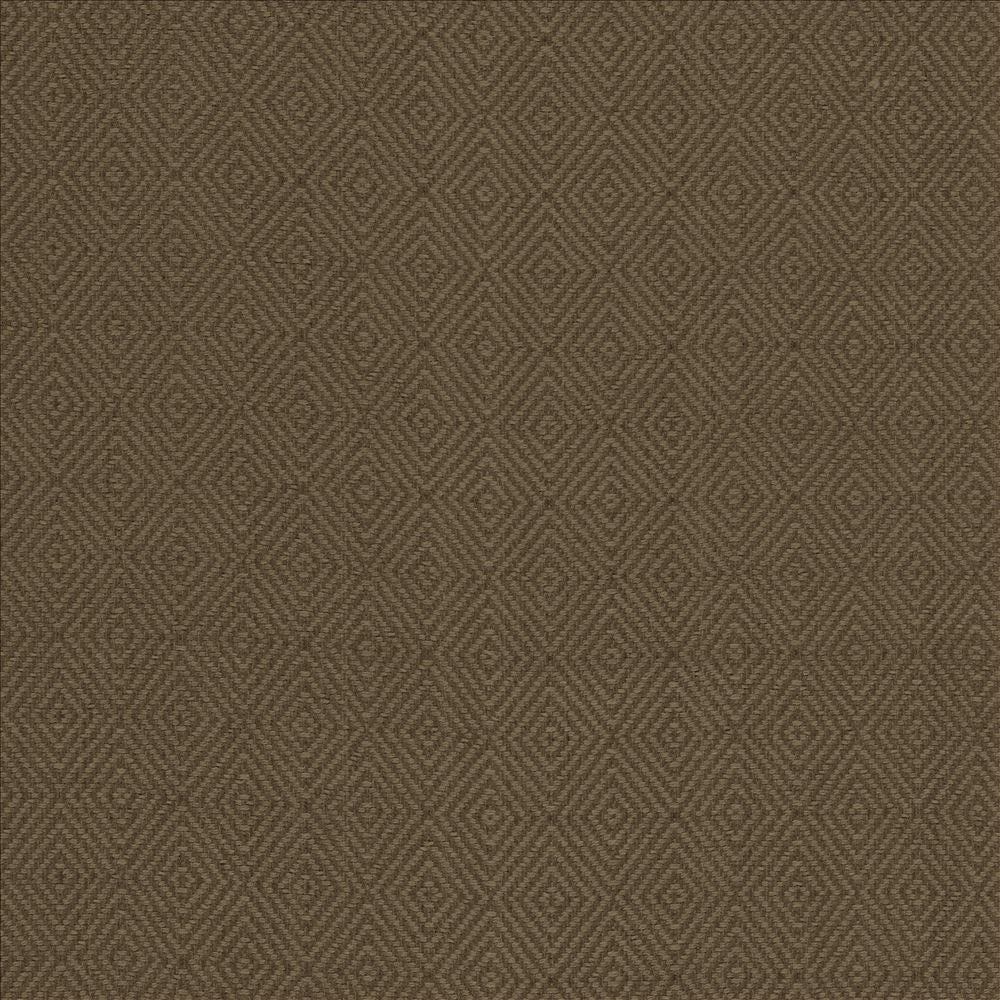 Balducci Ranger by Kasmir Fabric 5101 100% Cotton INDIA 12,000 Wyzenbeek Double Rubs Horizontal: 1 2/8 inches and Vertical: 1 4/8 inches 54 - 55 - Fabric Carolina -