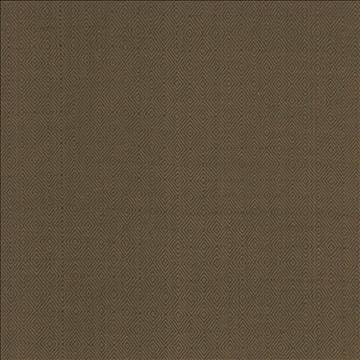 Balducci Ranger by Kasmir Fabric 5101 100% Cotton INDIA 12,000 Wyzenbeek Double Rubs H: 1 2/8 inches, V: 1 4/8 inches 54 - 55 - Fabric Carolina - Kasmir