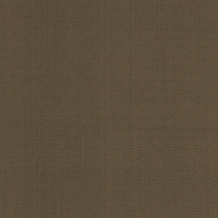 Balducci Ranger by Kasmir Fabric 5101 100% Cotton INDIA 12,000 Wyzenbeek Double Rubs H: 1 2/8 inches, V:1 4/8 inches 54 - 55 - Fabric Carolina - Kasmir
