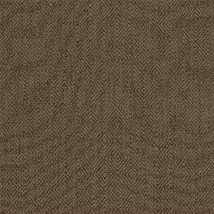 Balducci Ranger by Kasmir Fabric 5101 100% Cotton
 INDIA 12,000 Wyzenbeek Double Rubs </p><p>Repeat: Horizontal: 1 2/8 inches and Vertical: 1 4/8 inches 54 - Fabric Carolina -