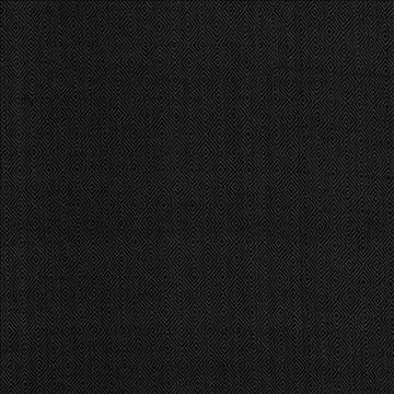 Balducci Raven by Kasmir Fabric 5101 100% Cotton INDIA 12,000 Wyzenbeek Double Rubs H: 1 2/8 inches, V: 1 4/8 inches 54 - 55 - Fabric Carolina - Kasmir