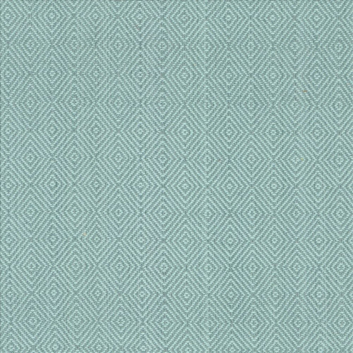 Balducci Seaglass by Kasmir Fabric 5098 100% Cotton
 INDIA 12,000 Wyzenbeek Double Rubs Horizontal: 1 2/8 inches and Vertical: 1 4/8 inches 54 - Fabric Carolina -