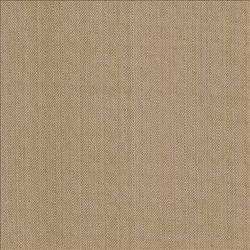 Balducci Teastain by Kasmir Fabric 5092 100% Cotton INDIA 12,000 Wyzenbeek Double Rubs H: 1 2/8 inches, V: 1 4/8 inches 54 - 55 - Fabric Carolina - Kasmir