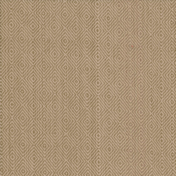 Balducci Teastain by Kasmir Fabric 5092 100% Cotton
 INDIA </p><p>Repeat: Horizontal: 1 2/8 inches and Vertical: 1 4/8 inches 54 - 55 - Fabric Carolina -
