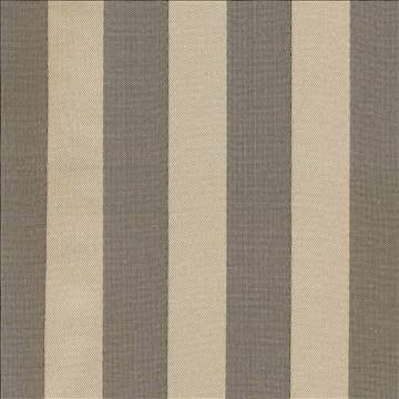 Balenciaga Cedar by Kasmir Fabric 1373 100% Polyester TURKEY Not Tested H: 1 1/8 inches, V: N/A 118 - Fabric Carolina - Kasmir