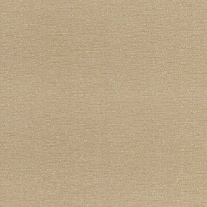 Ballerina Champagne by Kasmir Fabric