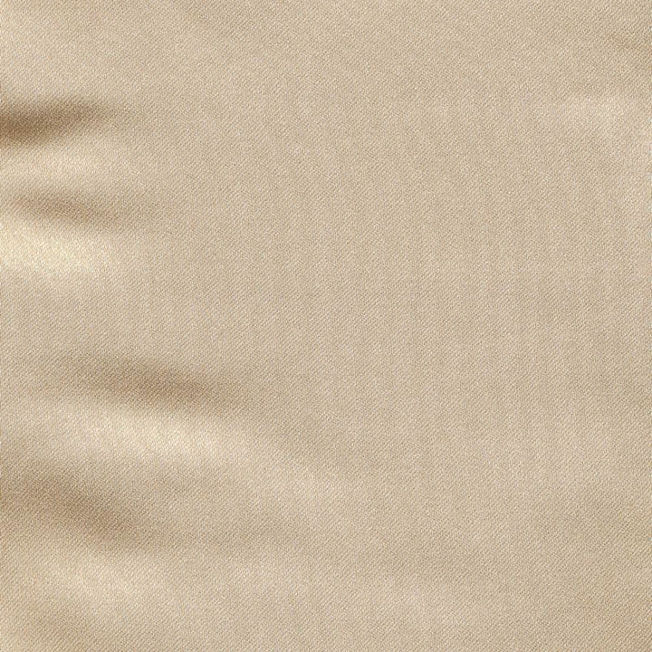 Ballet Champagne by Kasmir Fabric 1396 100% Polyester
 INDIA Not Tested </p><p>Repeat: Horizontal: N/A and Vertical: N/A 54 - Fabric Carolina -