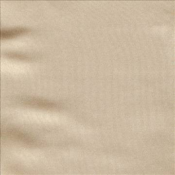 Ballet Champagne by Kasmir Fabric 1396 100% Polyester INDIA Not Tested H: N/A, V: N/A 54 - Fabric Carolina - Kasmir