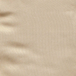 Ballet Champagne by Kasmir Fabric