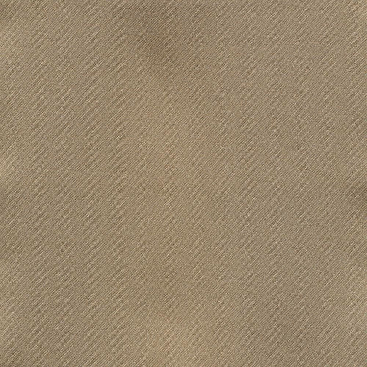 Ballet Latte by Kasmir Fabric 1398 100% Polyester
 INDIA Not Tested </p><p>Repeat: Horizontal: N/A and Vertical: N/A 54 - Fabric Carolina -
