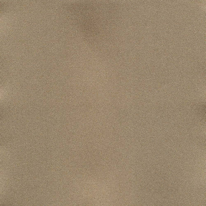 Ballet Latte by Kasmir Fabric 1398 100% Polyester INDIA Not Tested H: N/A, V:N/A 54 - Fabric Carolina - Kasmir