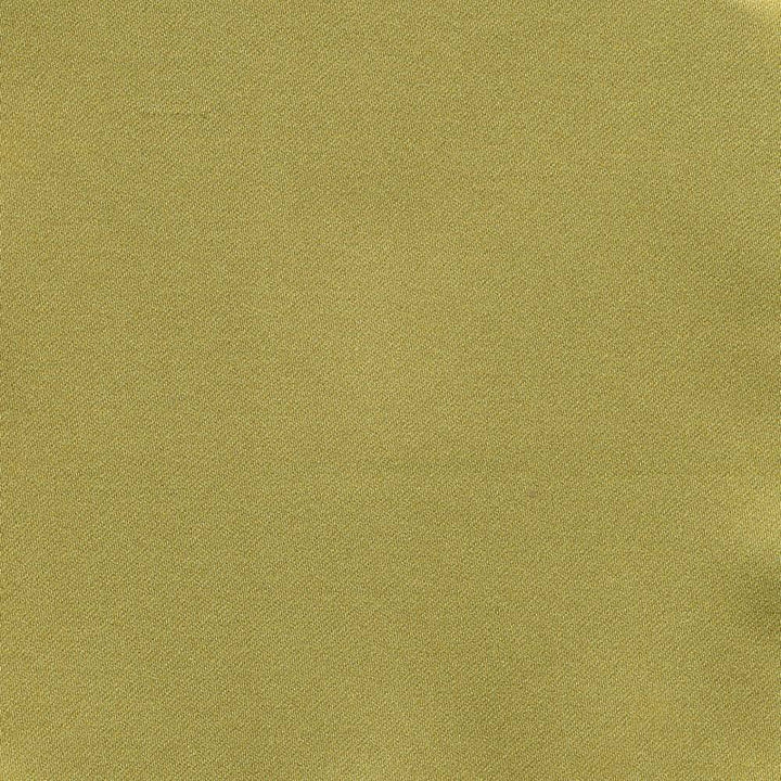 Ballet Lime by Kasmir Fabric 1398 100% Polyester INDIA Not Tested H: N/A, V:N/A 54 - Fabric Carolina - Kasmir