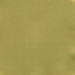 Ballet Lime by Kasmir Fabric