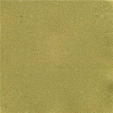 Ballet Lime by Kasmir Fabric 1398 100% Polyester INDIA Not Tested H: N/A, V: N/A 54 - Fabric Carolina - Kasmir