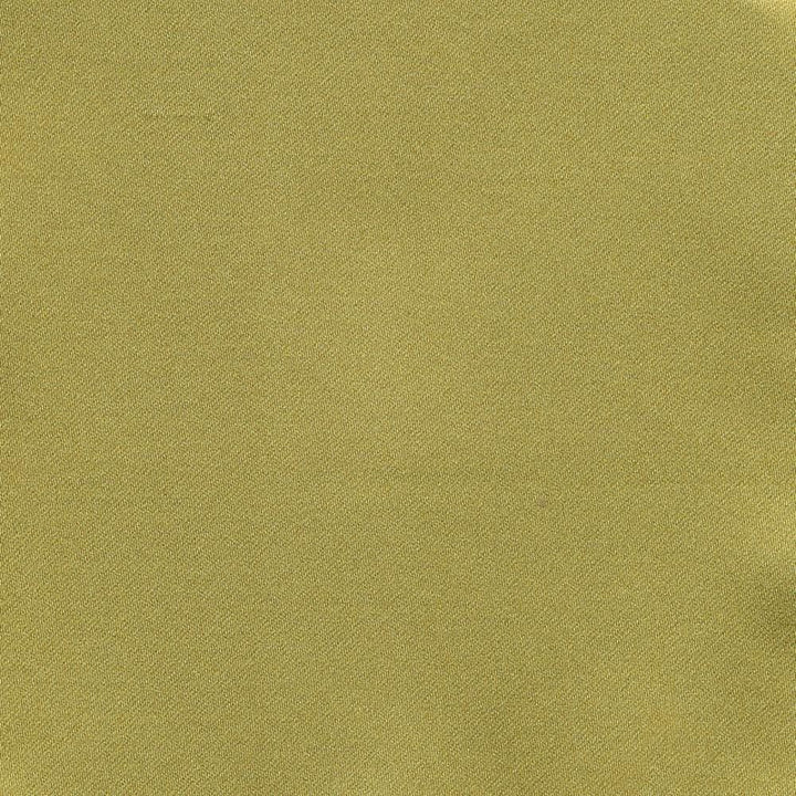 Ballet Lime  by Kasmir Fabric See sample 100% Polyester
 INDIA Not Tested </p><p>Repeat: Horizontal: N/A and Vertical: N/A 54  - Fabric Carolina -