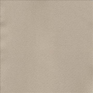 Ballet Otter by Kasmir Fabric 1398 100% Polyester INDIA Not Tested H: N/A, V: N/A 54 - Fabric Carolina - Kasmir