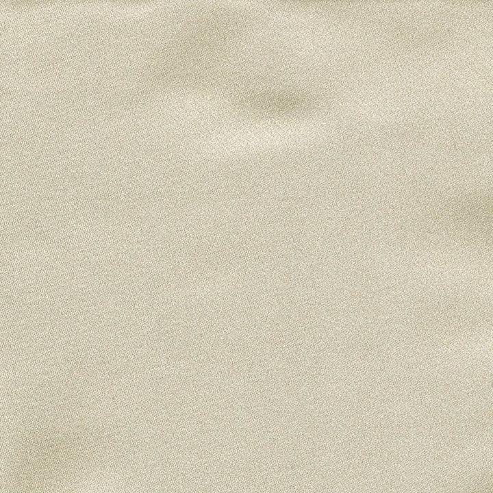 Ballet Oyster by Kasmir Fabric 1396 100% Polyester
 INDIA Not Tested </p><p>Repeat: Horizontal: N/A and Vertical: N/A 54 - Fabric Carolina -