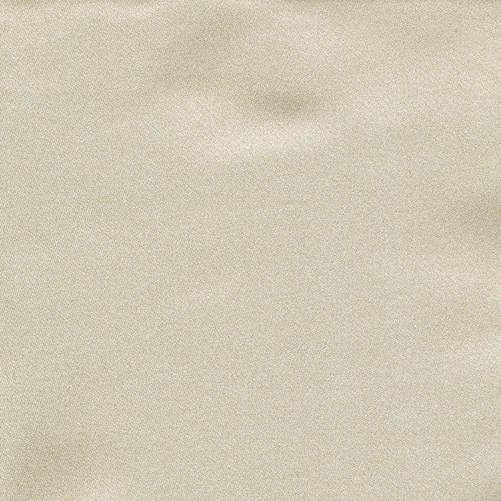 Ballet Oyster by Kasmir Fabric 1396 100% Polyester INDIA Not Tested H: N/A, V:N/A 54 - Fabric Carolina - Kasmir