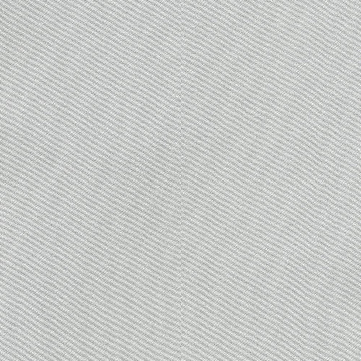 Ballet Silver by Kasmir Fabric 1398 100% Polyester INDIA Not Tested H: N/A, V:N/A 54 - Fabric Carolina - Kasmir