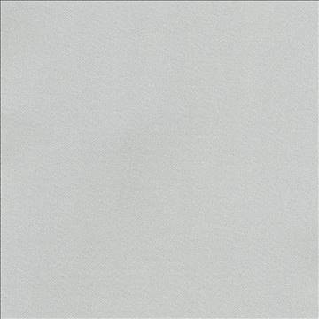 Ballet Silver by Kasmir Fabric 1398 100% Polyester INDIA Not Tested H: N/A, V: N/A 54 - Fabric Carolina - Kasmir