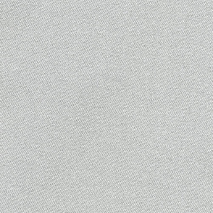 Ballet Silver by Kasmir Fabric 1398 100% Polyester
 INDIA Not Tested Horizontal: N/A and Vertical: N/A 54 - Fabric Carolina -