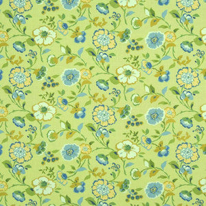 Ballyhoo Keylime by Kasmir Fabric