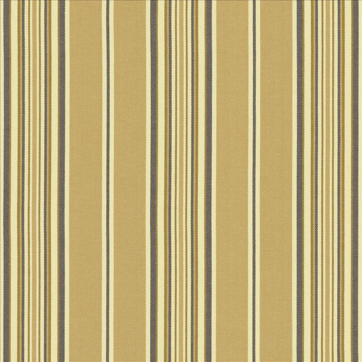Bandwidth Sand  by Kasmir Fabric See sample 100% Cotton
 TURKEY 50,000 Wyzenbeek Double Rubs </p><p>Repeat: Horizontal: 7 2/8 inches and Vertical: N/A 55  - Fabric Carolina -