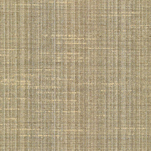 Bansuri Chino by Kasmir Fabric