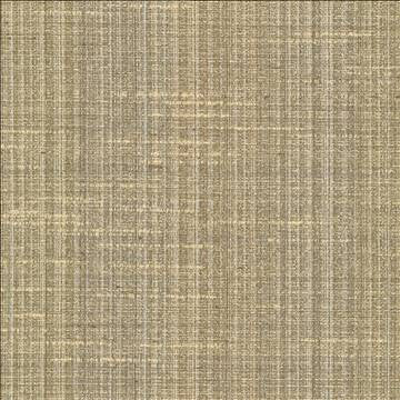 Bansuri Chino by Kasmir Fabric 5066 80% Polyester 20% Cotton INDIA 80,000 Wyzenbeek Double Rubs H: N/A, V: N/A 55 - 56 - Fabric Carolina - Kasmir