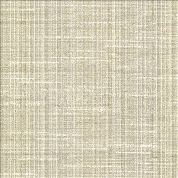 Bansuri Dew by Kasmir Fabric 5066 80% Polyester 20% Cotton INDIA 80,000 Wyzenbeek Double Rubs H: N/A, V: N/A 55 - 56 - Fabric Carolina - Kasmir