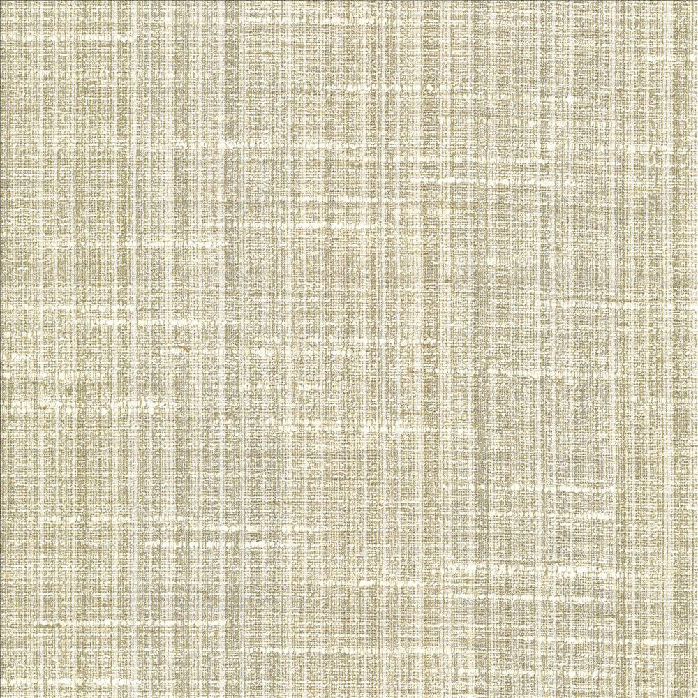 Bansuri Dew by Kasmir Fabric 5066 80% Polyester
20% Cotton
 INDIA 80,000 Wyzenbeek Double Rubs </p><p>Repeat: Horizontal: N/A and Vertical: N/A 55 - Fabric Carolina -
