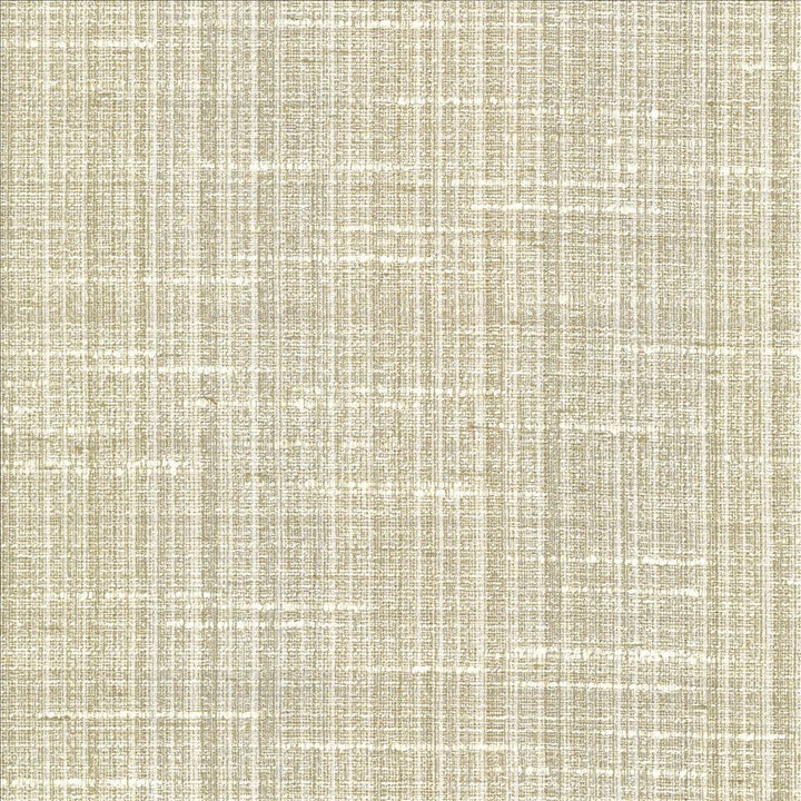 Bansuri Dew by Kasmir Fabric 5066 80% Polyester
20% Cotton
 INDIA 80,000 Wyzenbeek Double Rubs Horizontal: N/A and Vertical: N/A 55 - Fabric Carolina -