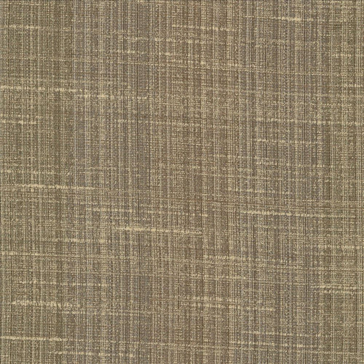 Bansuri Toffee by Kasmir Fabric 5066 80% Polyester
20% Cotton
 INDIA 80,000 Wyzenbeek Double Rubs Horizontal: N/A and Vertical: N/A 55 - Fabric Carolina -