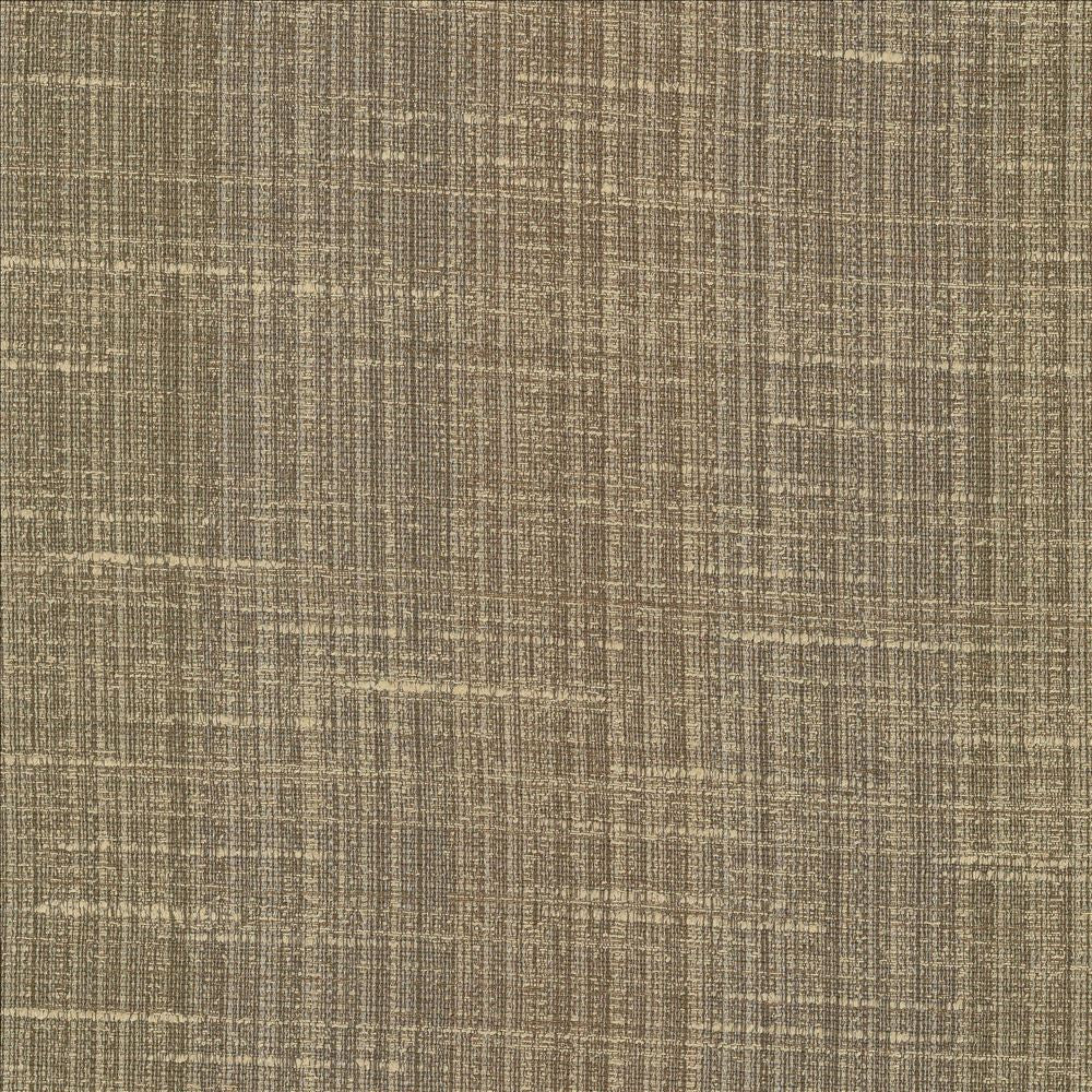 Bansuri Toffee by Kasmir Fabric 5066 80% Polyester
20% Cotton
 INDIA </p><p>Repeat: Horizontal: N/A and Vertical: N/A 55 - 56 - Fabric Carolina -