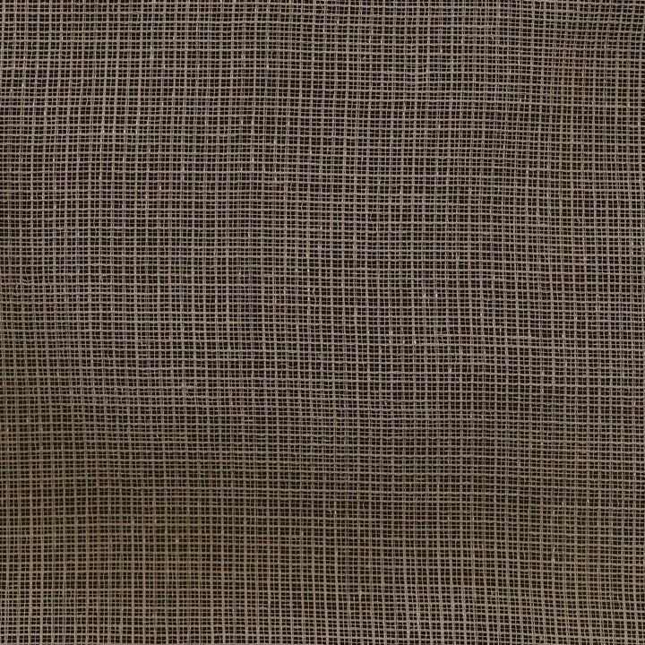Barely There Earth by Kasmir Fabric 1373 100% Polyester TURKEY Not Tested H: N/A, V:N/A 117 - 119 - Fabric Carolina - Kasmir