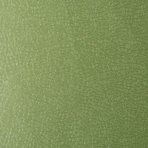 Barracuda Limelight by Kravet Contract Fabric