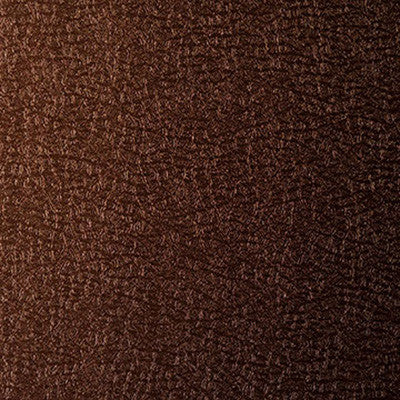 Barracuda Rootbeer by Kravet Contract Fabric