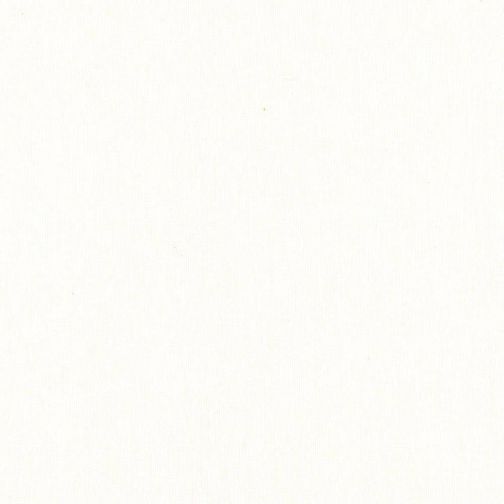 Barrett Buff by Kasmir Fabric 5076 100% Polyester CHINA H: N/A, V:N/A 117 - 118 - Fabric Carolina - Kasmir