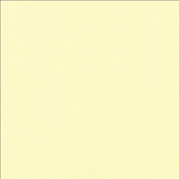 Barrett Ecru by Kasmir Fabric 5076 100% Polyester CHINA - H: N/A, V: N/A 117 - 118 - Fabric Carolina - Kasmir