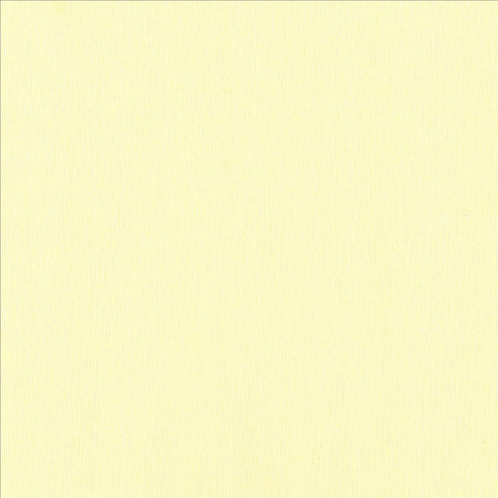 Barrett Ecru by Kasmir Fabric 5076 100% Polyester CHINA Horizontal: 0 Inches and Vertical: 0 Inches 117 - 118 - Fabric Carolina -