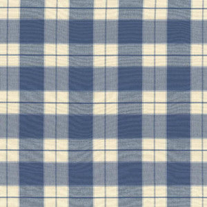 Barton Creek Cornflower by Kasmir Fabric