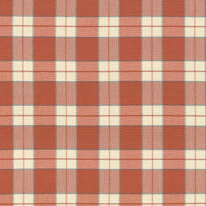 Barton Creek Persimmon by Kasmir Fabric