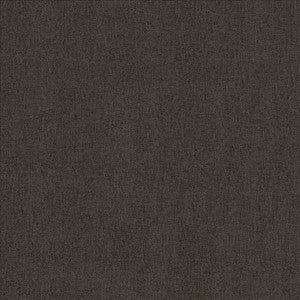 Bashful Charcoal by Kasmir Fabric