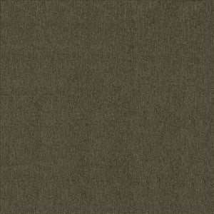 Bashful Earth by Kasmir Fabric