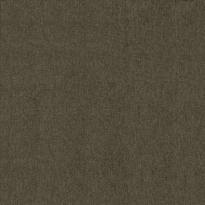Bashful Earth by Kasmir Fabric 5171 100% Polyester
 CHINA 50,000 Wyzenbeek Double Rubs </p><p>Repeat: Horizontal: N/A and Vertical: N/A 54 - Fabric Carolina -